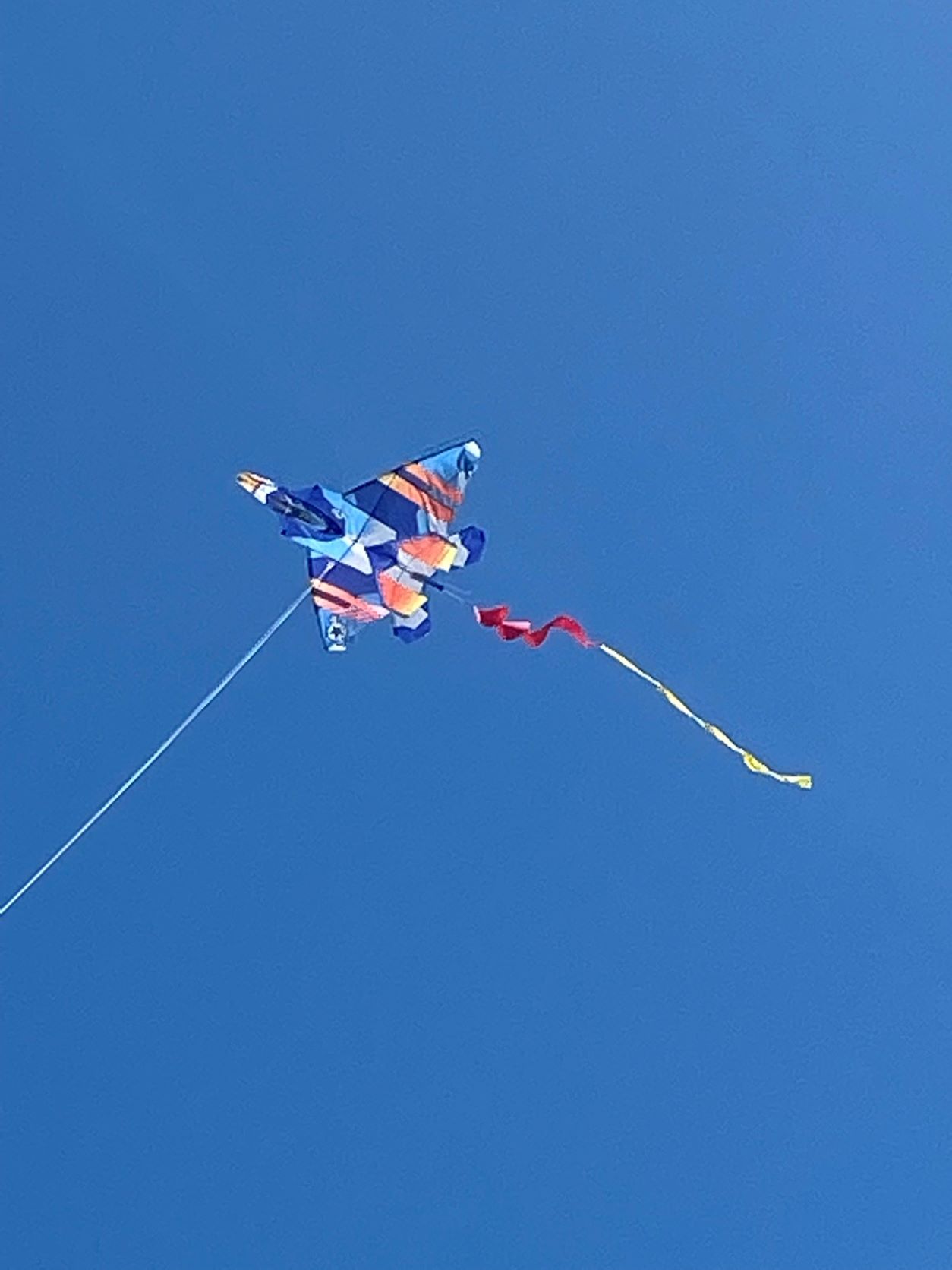 kites 2